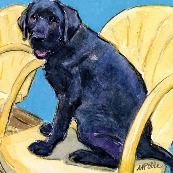 Labrador Retrievers: Sitting Pretty by Molly A. Poole