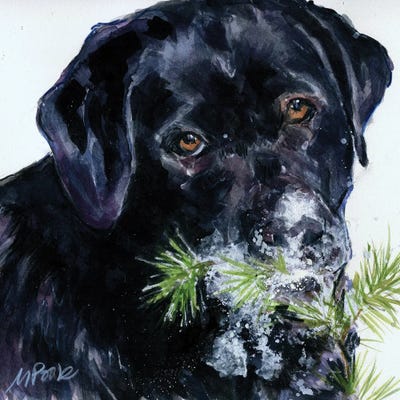 Snowflake by Molly A. Poole framed wall art