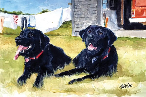 Labrador Retrievers: Summer Camp by Molly A. Poole