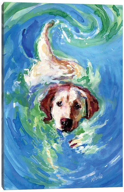 Swirl Pool Canvas Art Print - Labrador Retriever Art
