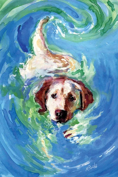 Labrador Retrievers: Swirl Pool by Molly A. Poole