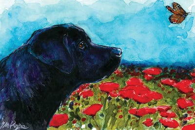 Updraft by Molly A. Poole framed wall art