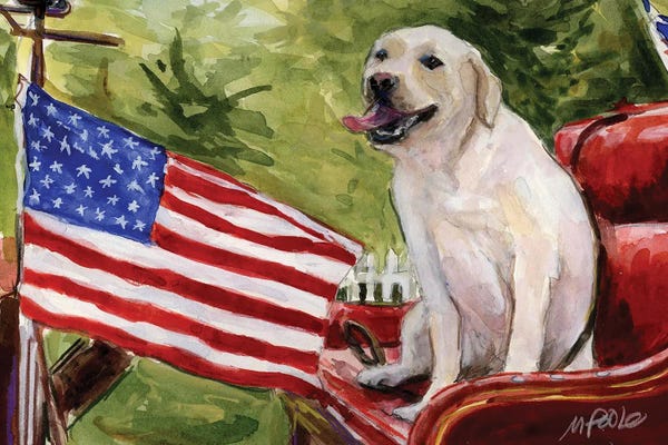 American Flags: Wag The Flag by Molly A. Poole