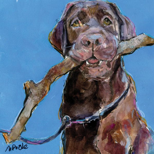 Labrador Retrievers: Walk Softly by Molly A. Poole