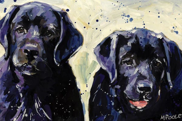 Labrador Retrievers: Waterboys by Molly A. Poole