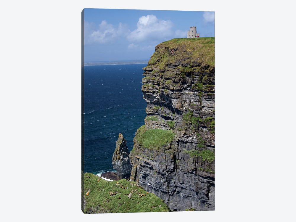 Scenic Cliffs Of Moher And O'Brien's Tower Under A Blue Sky And White Puffy Clouds With Waves Of The Atlantic Ocean Below by Marilyn Parver 1-piece Canvas Art Print