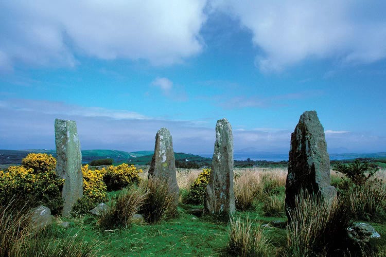 Ireland, Co Cork, Ardgroom Outward, Druid Circle by Marilyn Parver wall art