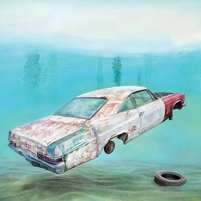 Impalake by Marcello Petisci canvas print