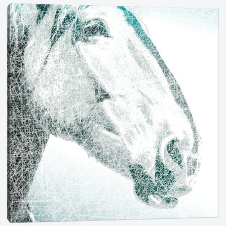 Equus Canvas Print #MPE1} by Marvin Pelkey Canvas Art Print