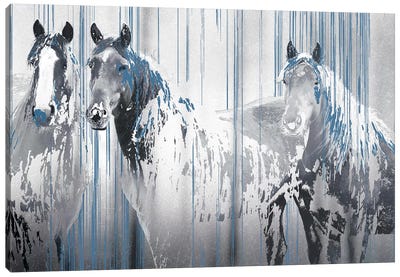 Three's Company Canvas Art Print - Horse Art