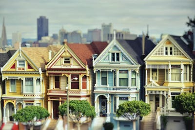Painted Ladies by MScottPhotography framed wall art