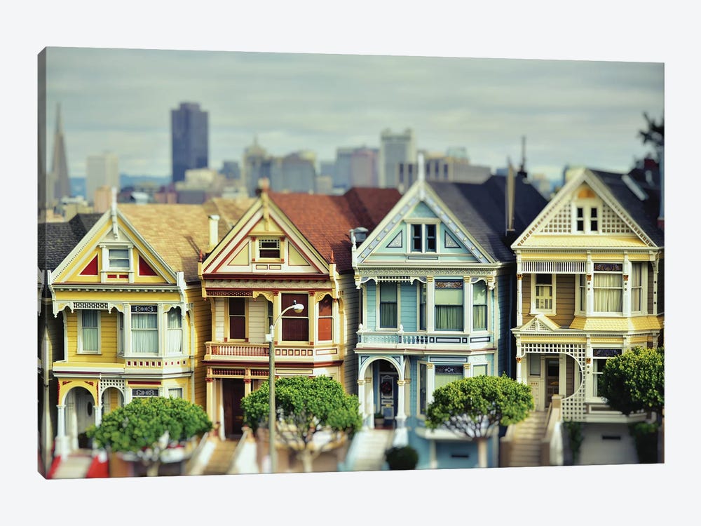 Painted Ladies by MScottPhotography 1-piece Canvas Print