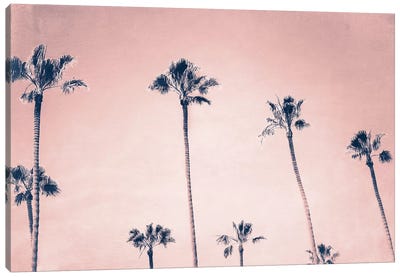 Palms Canvas Art Print - MScottPhotography