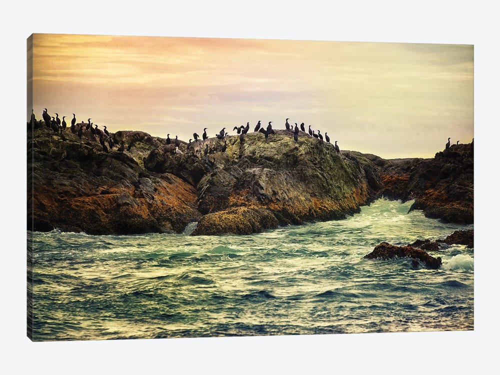 Bird Rock Tofino by MScottPhotography 1-piece Canvas Print