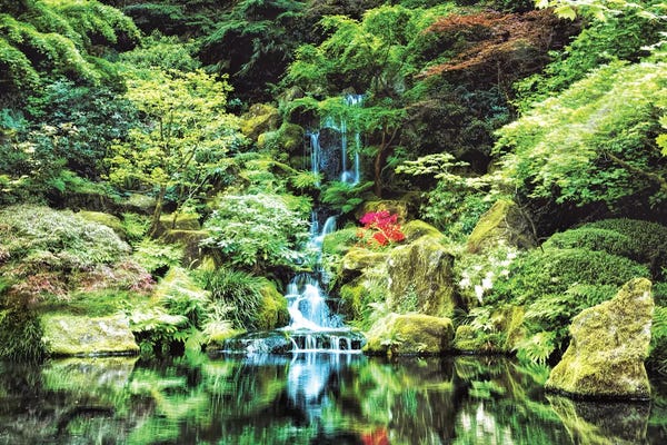 MScottPhotography: Portland Japanese Garden by MScottPhotography