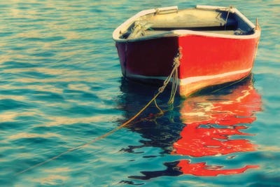 Red Boat by MScottPhotography canvas print