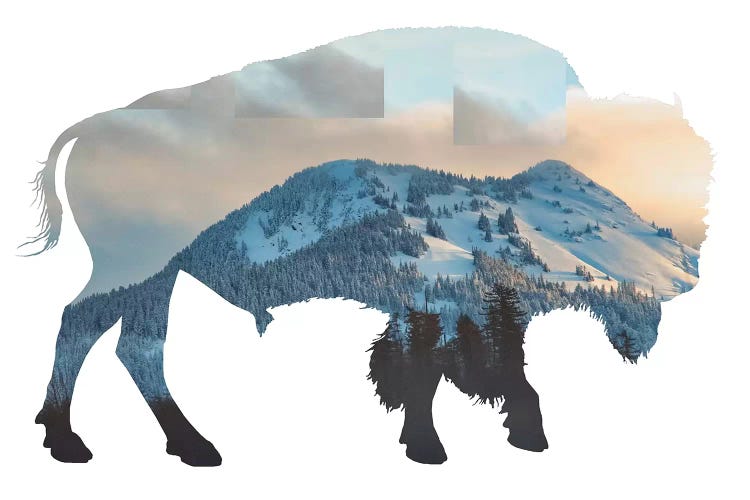 Bison Silhouette