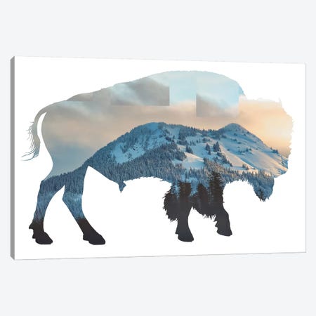 Bison Silhouette Canvas Print #MPH11} by MScottPhotography Canvas Art