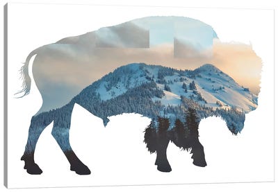 Bison Silhouette Canvas Art Print - Bison & Buffalo Art