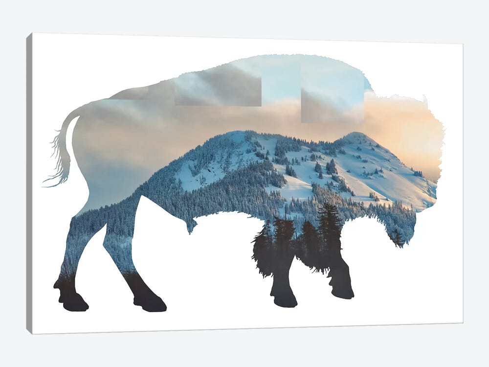 Bison Silhouette by MScottPhotography 1-piece Canvas Artwork