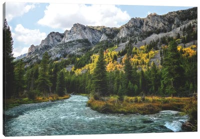 River Run Canvas Art Print - MScottPhotography