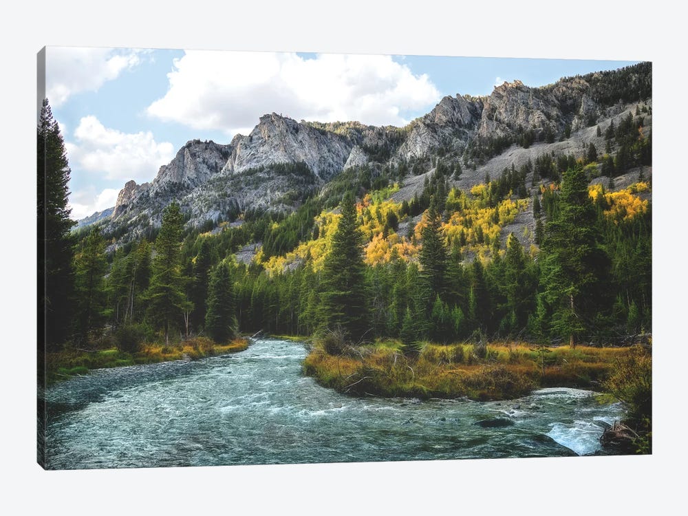 River Run by MScottPhotography 1-piece Canvas Print