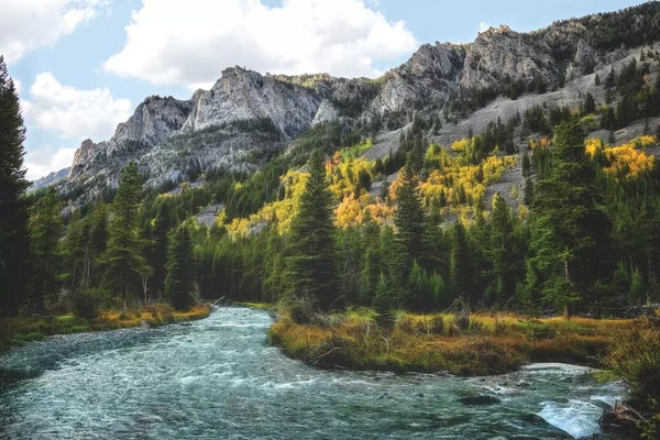 MScottPhotography: River Run by MScottPhotography