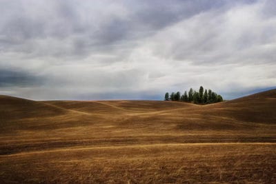 Rolling Canvas Artwork by MScottPhotography iCanvas