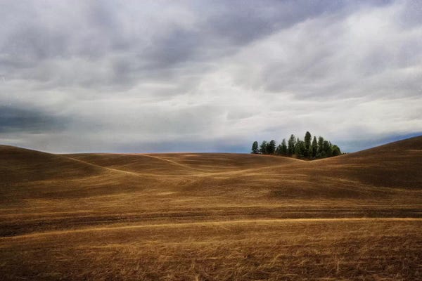 MScottPhotography: Rolling by MScottPhotography