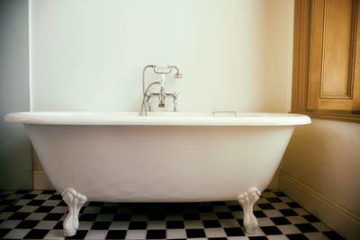 Squeaky Clean II by MScottPhotography canvas print