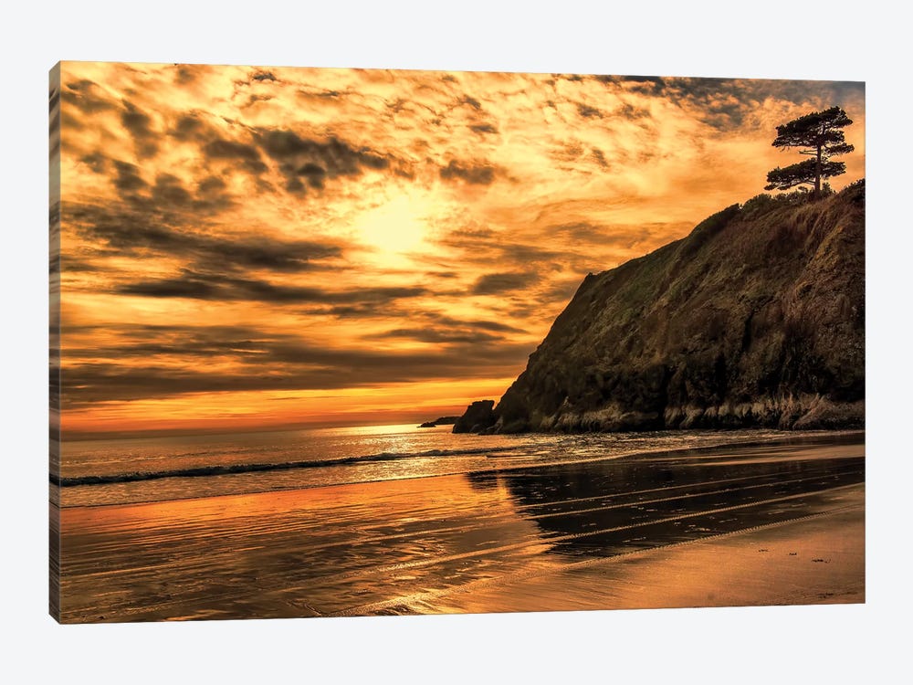 Sunset Pine by MScottPhotography 1-piece Canvas Print