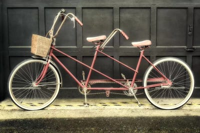 Tandem by MScottPhotography canvas print