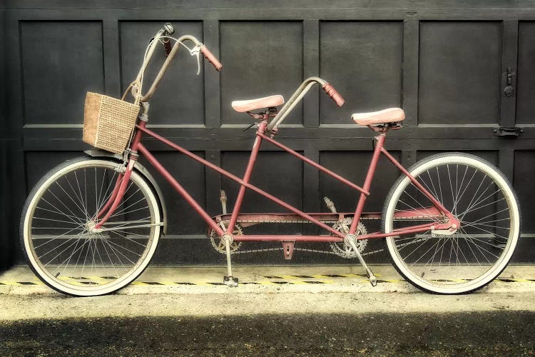 Tandem by MScottPhotography wall art