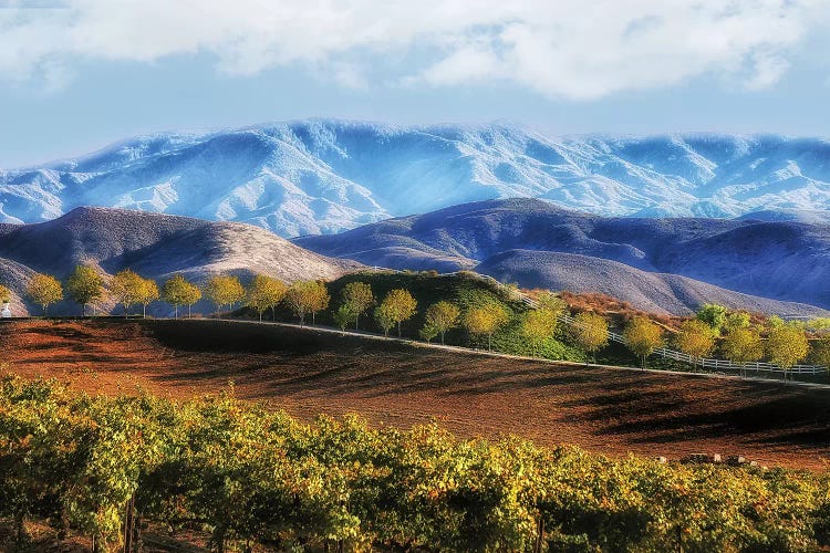 Temecula Valley by MScottPhotography wall art