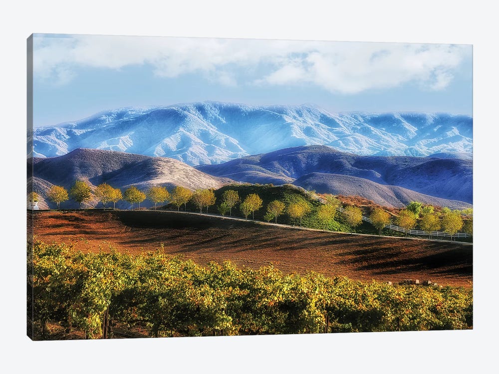 Temecula Valley by MScottPhotography 1-piece Canvas Art Print