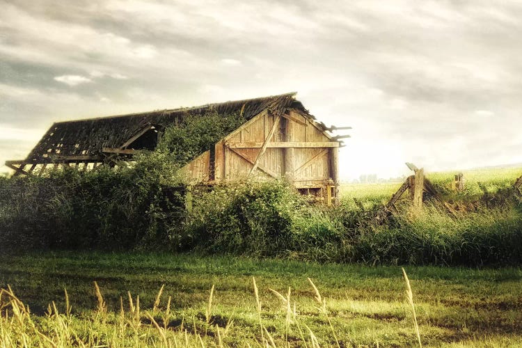Broken by MScottPhotography wall art