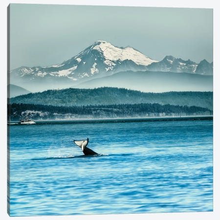 Whale Tale Canvas Print #MPH162} by MScottPhotography Canvas Print