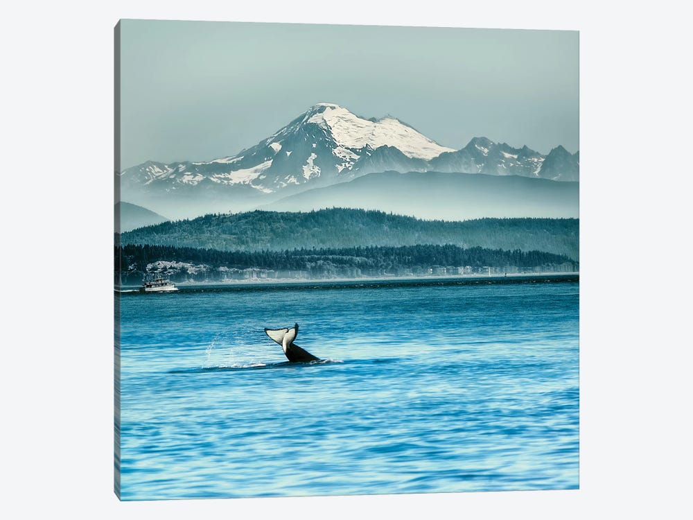Whale Tale by MScottPhotography 1-piece Canvas Art