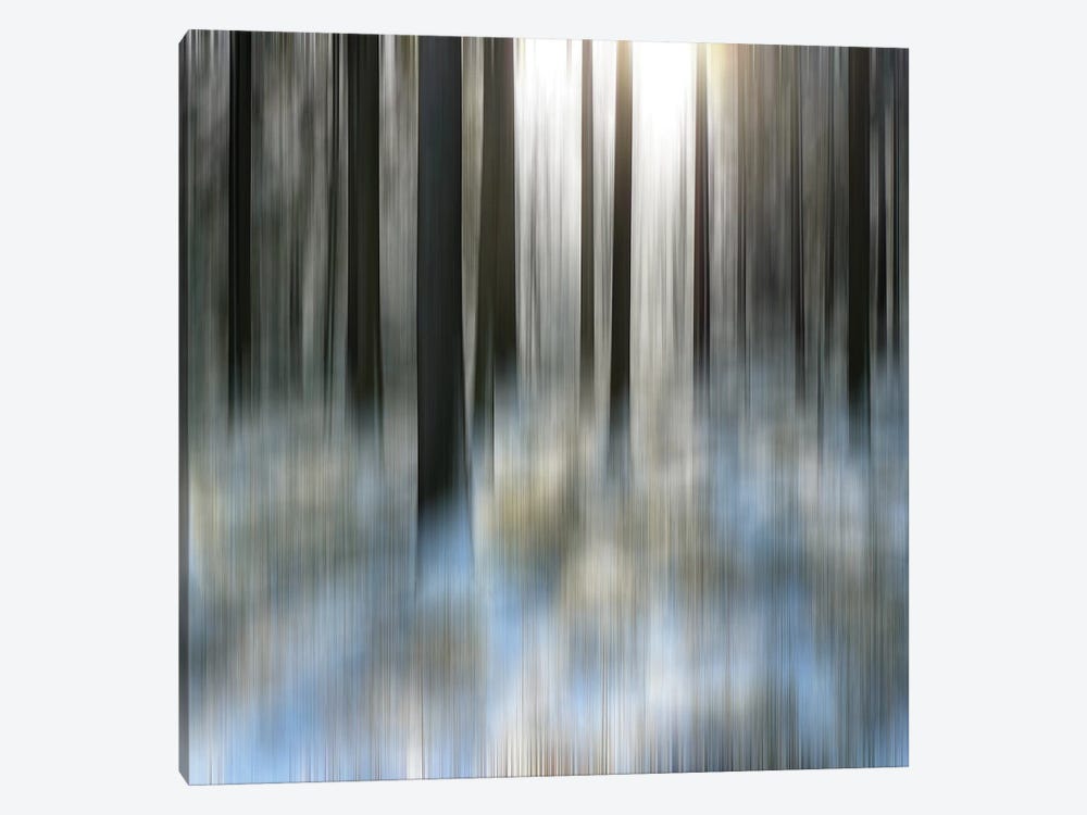Winter Solstice by MScottPhotography 1-piece Canvas Print