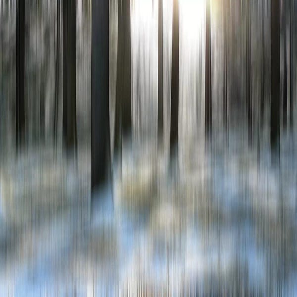 MScottPhotography: Winter Solstice by MScottPhotography