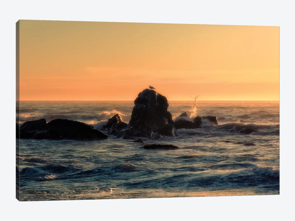Brookings Sunset by MScottPhotography 1-piece Art Print
