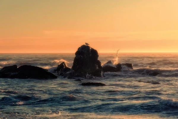 MScottPhotography: Brookings Sunset by MScottPhotography