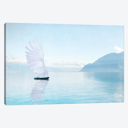 In A Dream Canvas Print #MPH177} by MScottPhotography Canvas Print