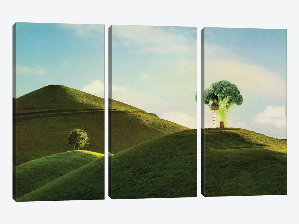 Home Sweet Home by MScottPhotography 3-piece Canvas Art