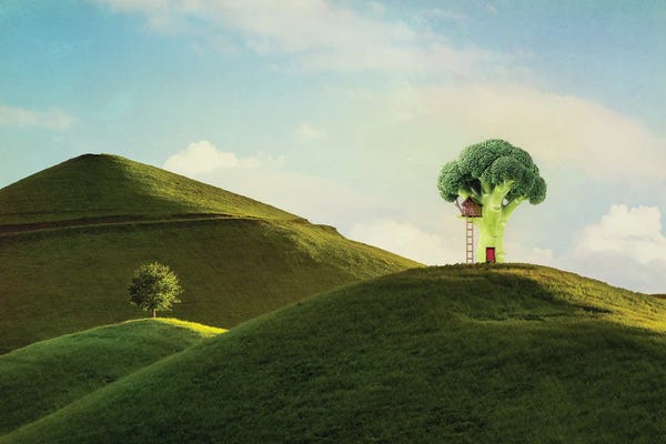 MScottPhotography: Home Sweet Home by MScottPhotography