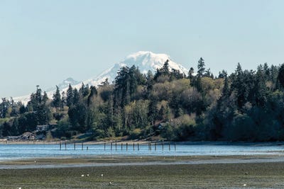 Rainier by MScottPhotography art print