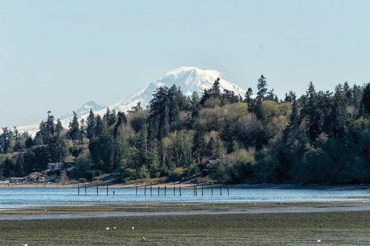 Rainier by MScottPhotography wall art