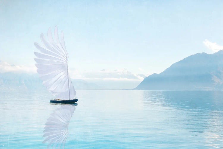 Winged Boat