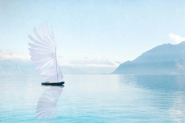 MScottPhotography: Winged Boat by MScottPhotography