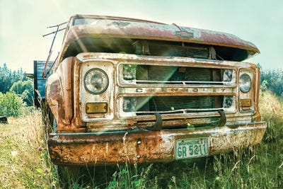 American Pie by MScottPhotography art print